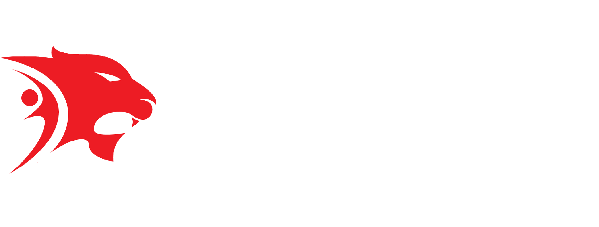 Lion Logo